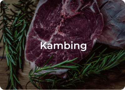supplier daging kambing