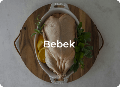 pemasok daging bebek