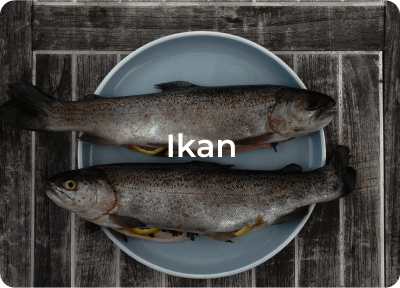 distributor ikan segar